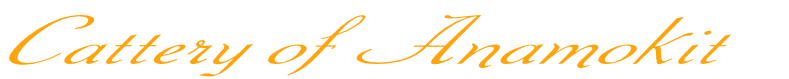 Cattery of Anamokit 